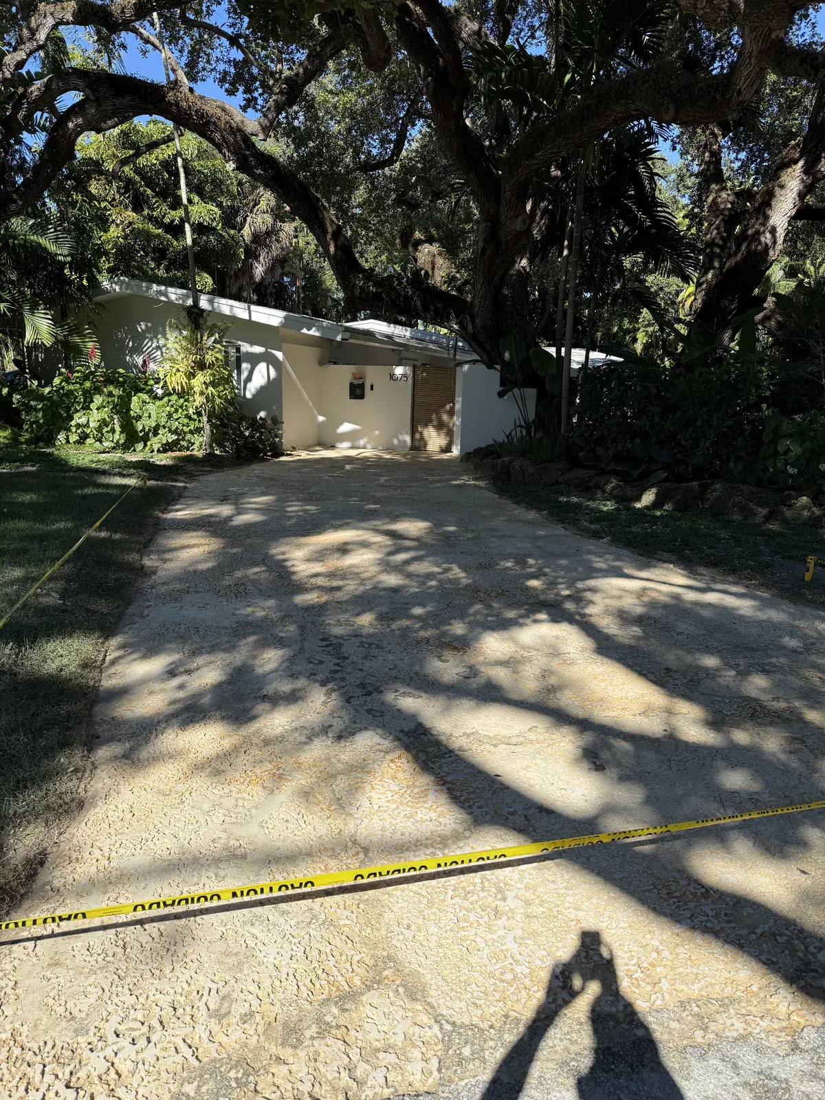Coral driveway after surface cleaning under oak canopy