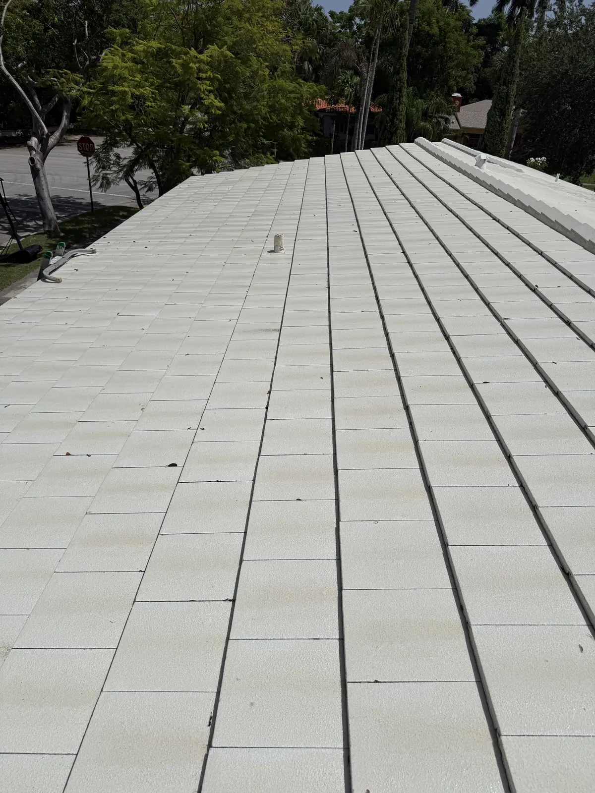 Same flat tile roof clean after soft washing