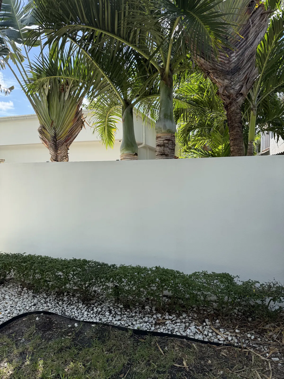 Same perimeter wall clean after soft washing